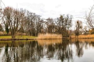 berlin dahlem see park wasser natur